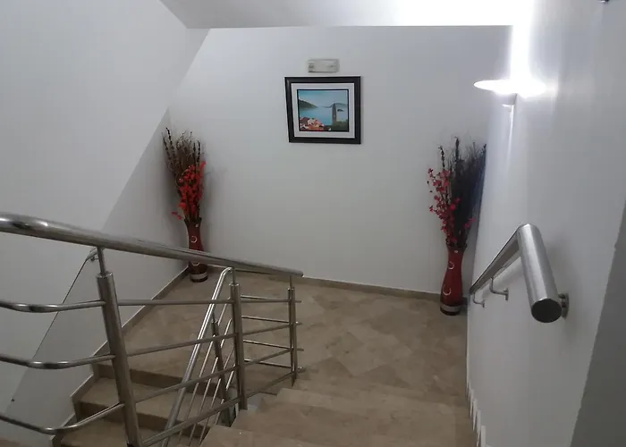 Viv 3* تريبينيي